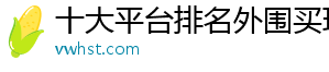 十大平台排名外围买球官方版